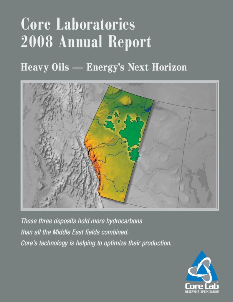 2008 Annual Report