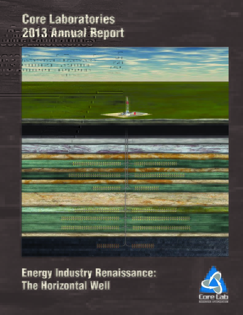 2013 Annual Report